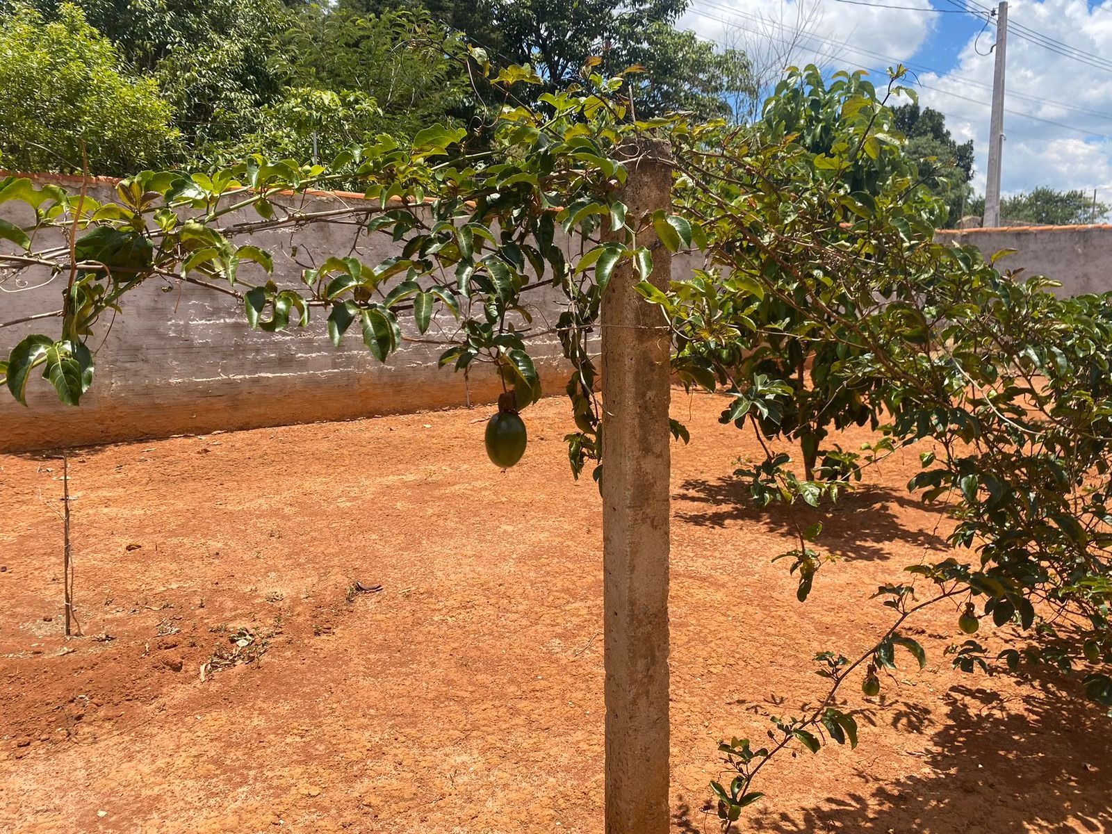 Chácara de 5.000 m² em Tatuí, SP