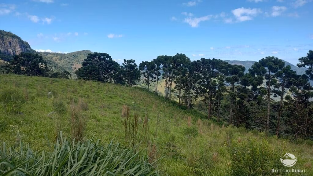 Terreno de 2 ha em São Bento do Sapucaí, SP
