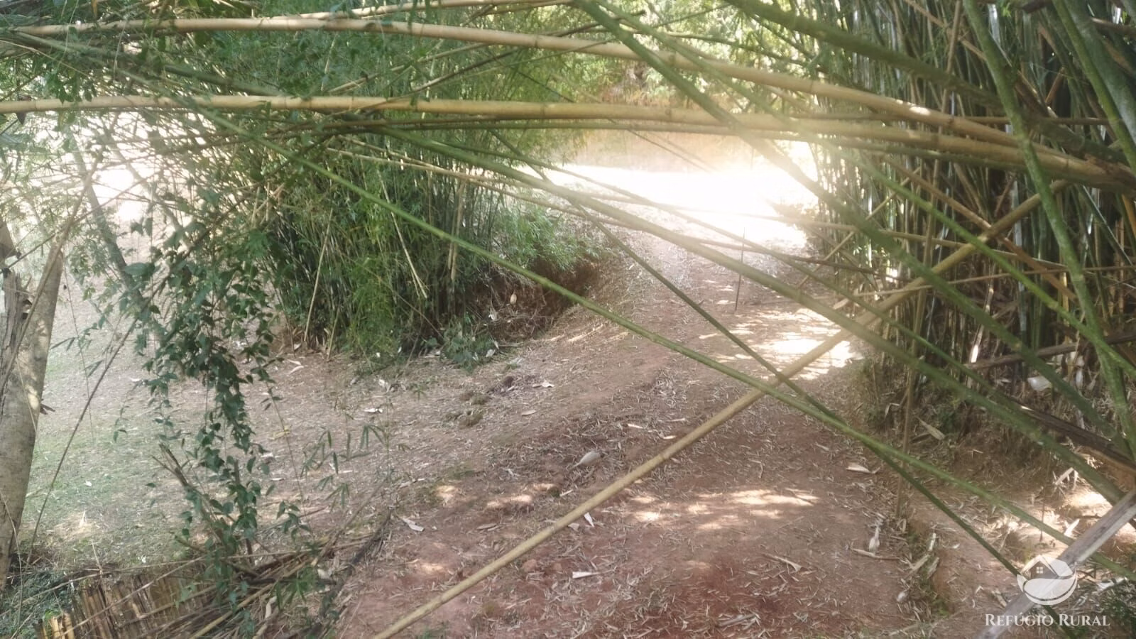Sítio de 24 ha em São José dos Campos, SP