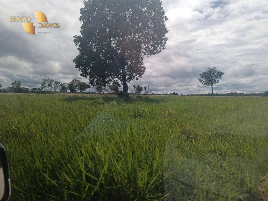 Fazenda de 290 ha em Cuiabá, MT