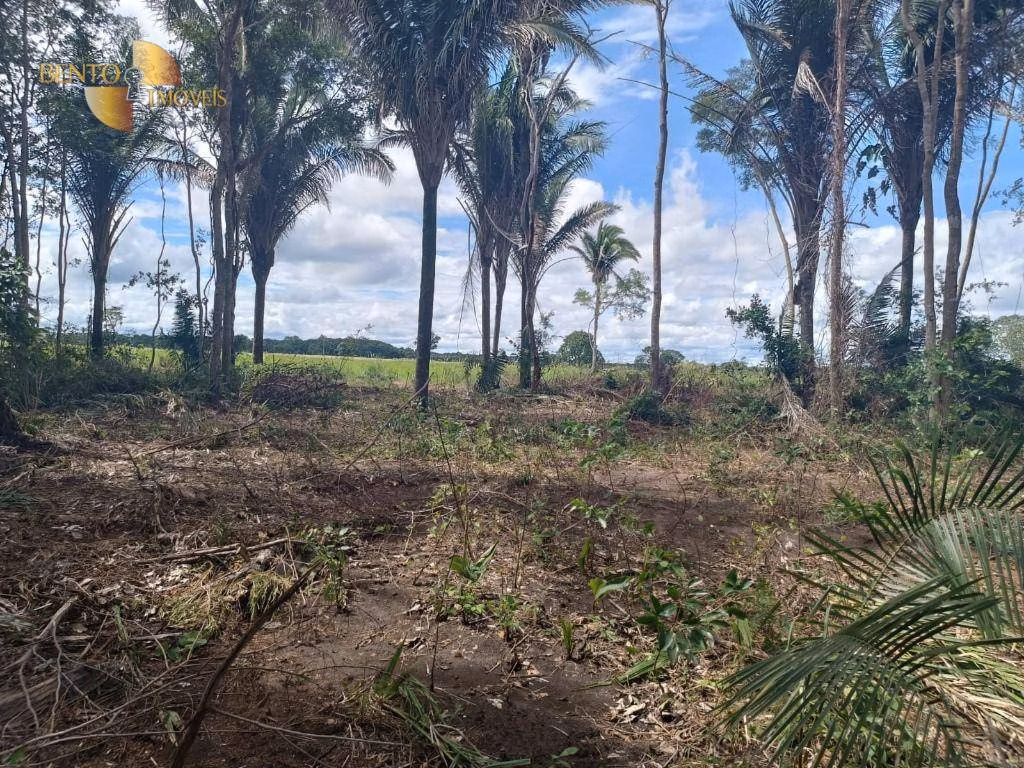 Fazenda de 290 ha em Cuiabá, MT