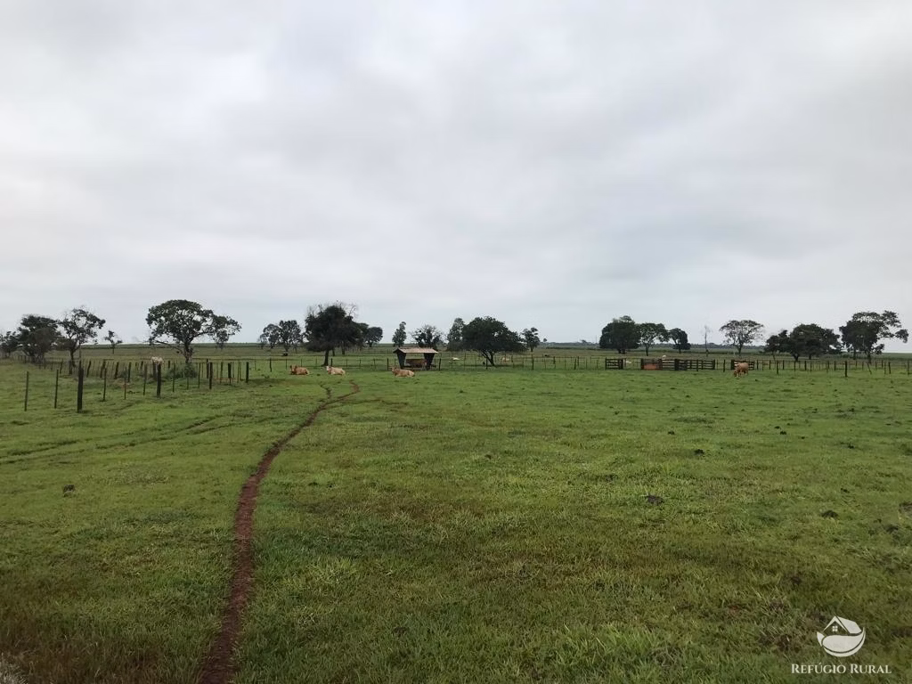 Fazenda de 522 ha em Aporé, GO