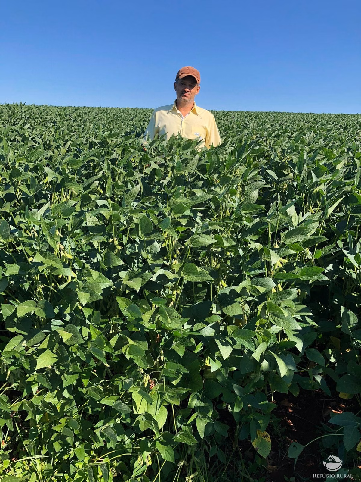 Fazenda de 522 ha em Aporé, GO