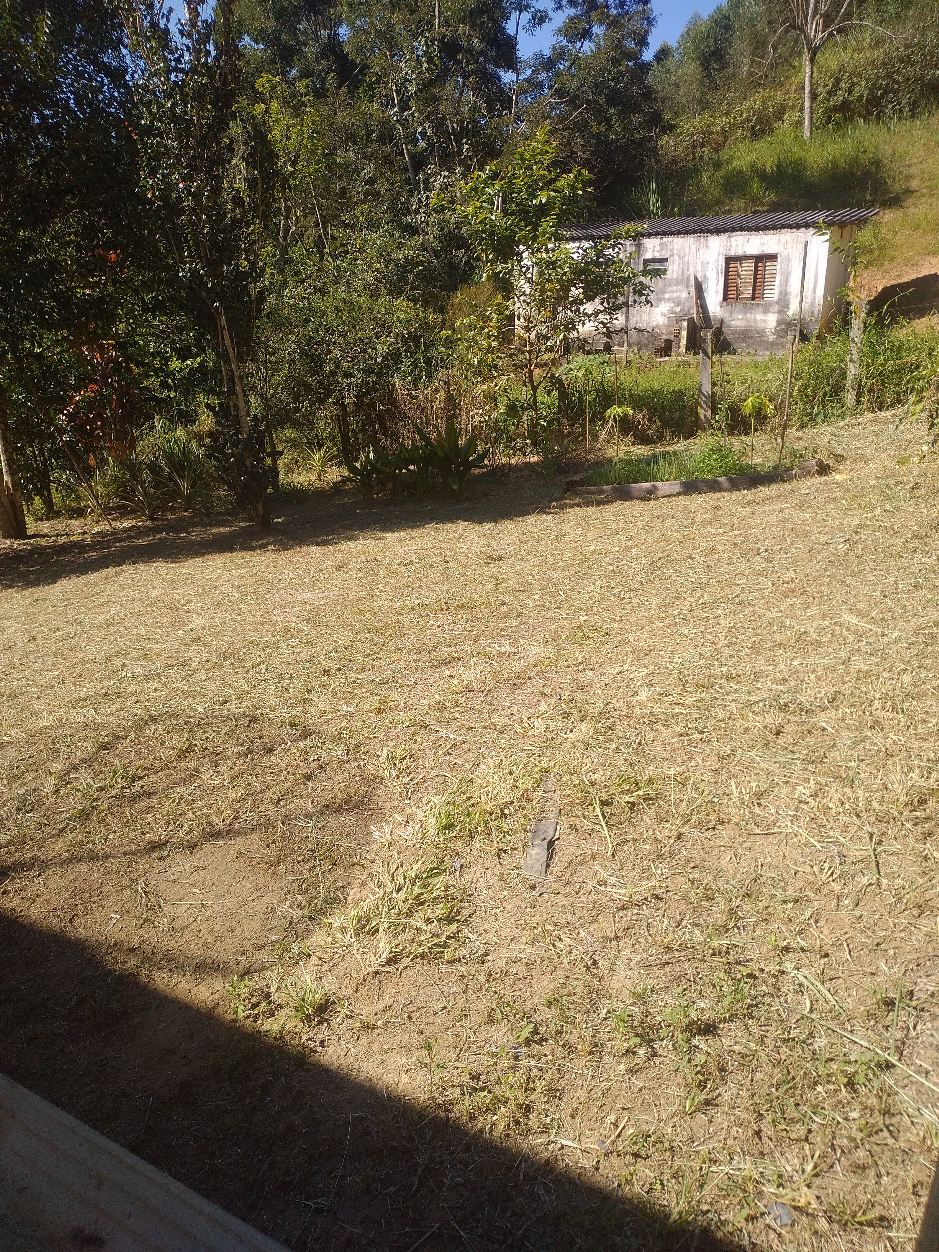 Chácara de 1.000 m² em Salesópolis, SP