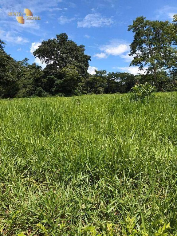 Fazenda de 551 ha em Nobres, MT