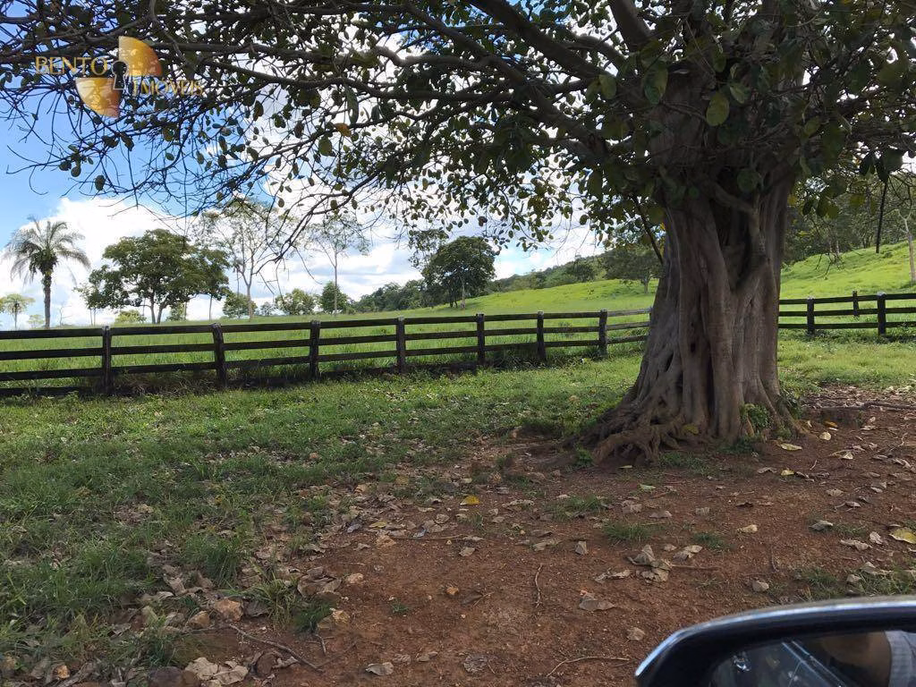 Fazenda de 551 ha em Nobres, MT