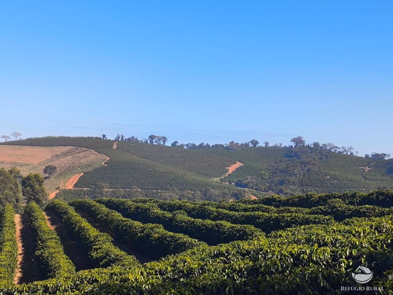 Fazenda à venda de 169 ha em Guaxupé, MG