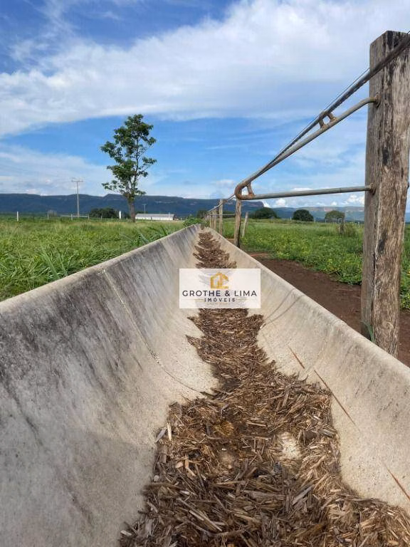 Fazenda de 1.200 ha em Palmas, TO
