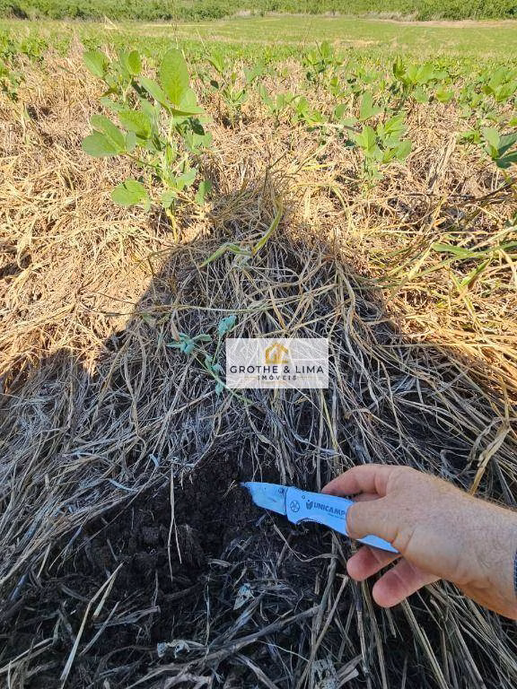 Fazenda de 1.200 ha em Palmas, TO