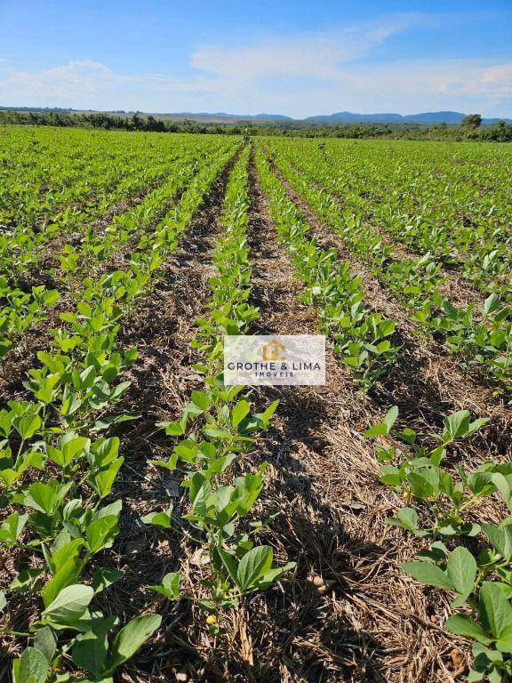 Fazenda de 1.200 ha em Palmas, TO