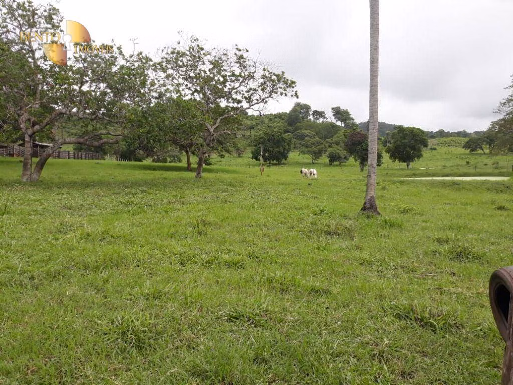 Farm of 262 acres in Poconé, MT, Brazil