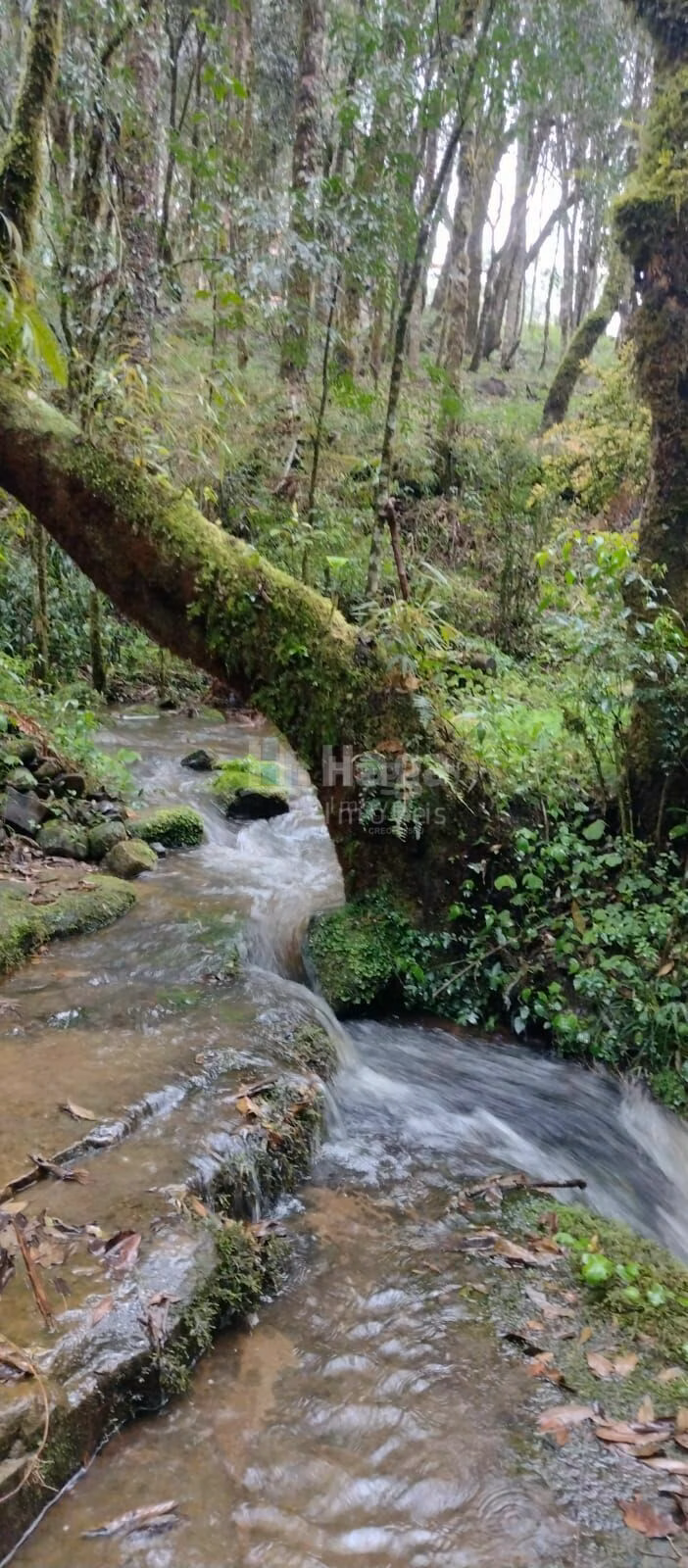 House of 5 acres in Urubici, SC, Brazil
