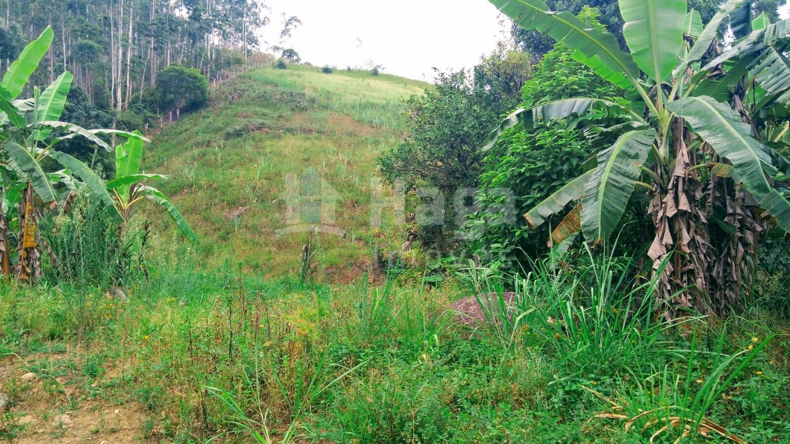 Farm of 6 acres in São João Batista, SC, Brazil