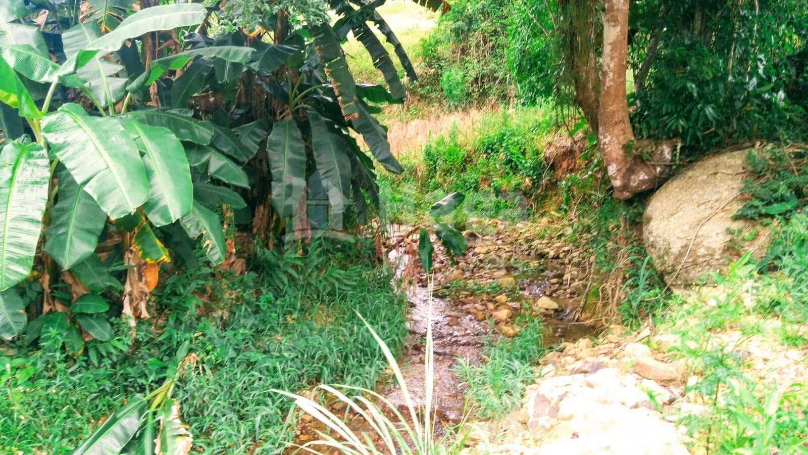 Farm of 6 acres in São João Batista, SC, Brazil