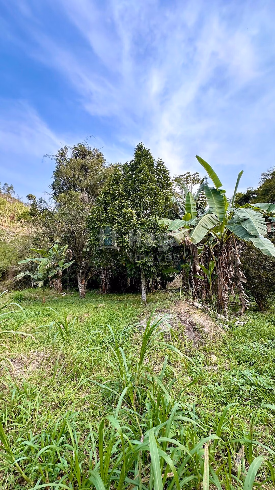 Fazenda de 2 ha em São João Batista, SC