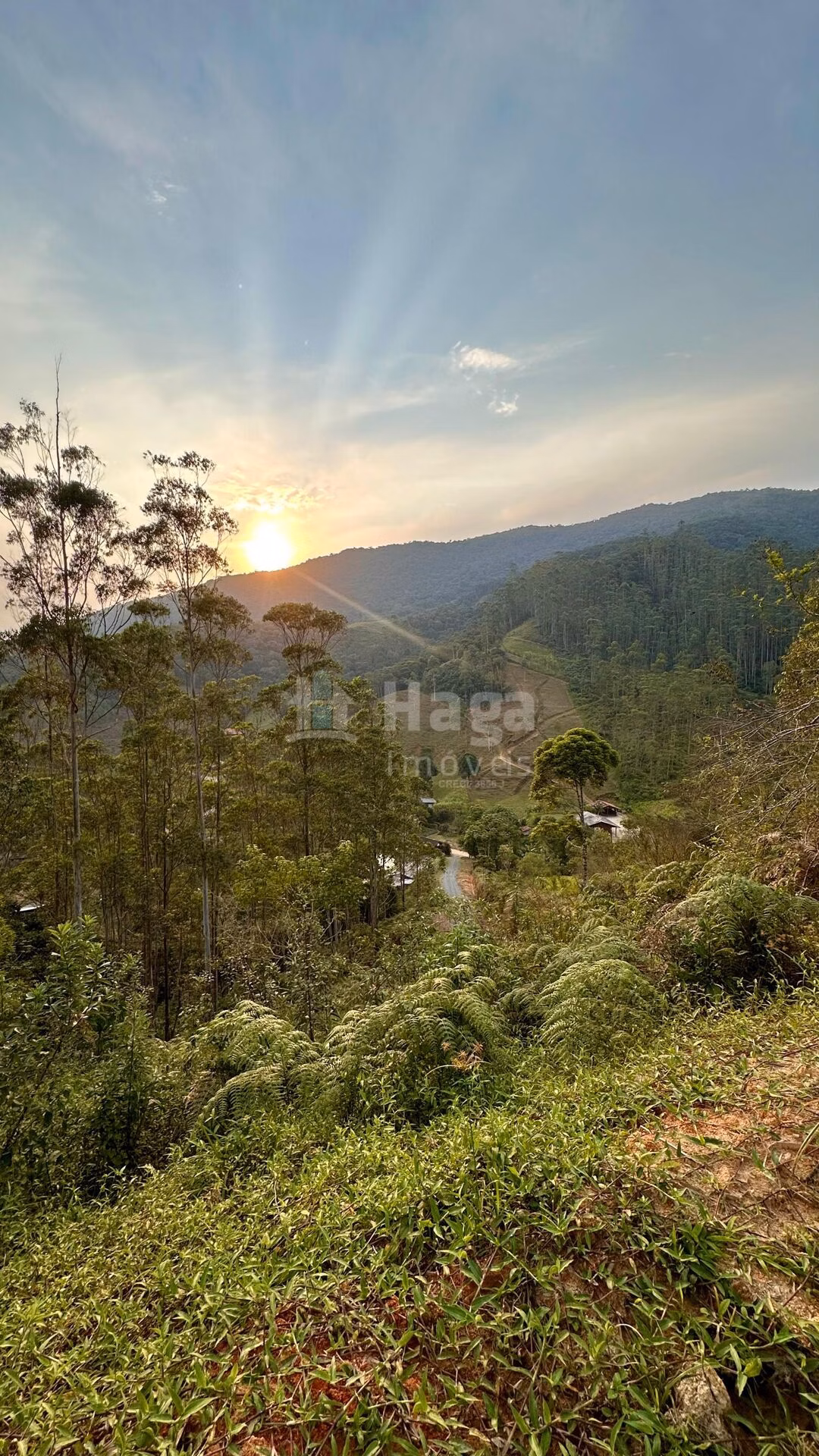Fazenda de 2 ha em São João Batista, SC