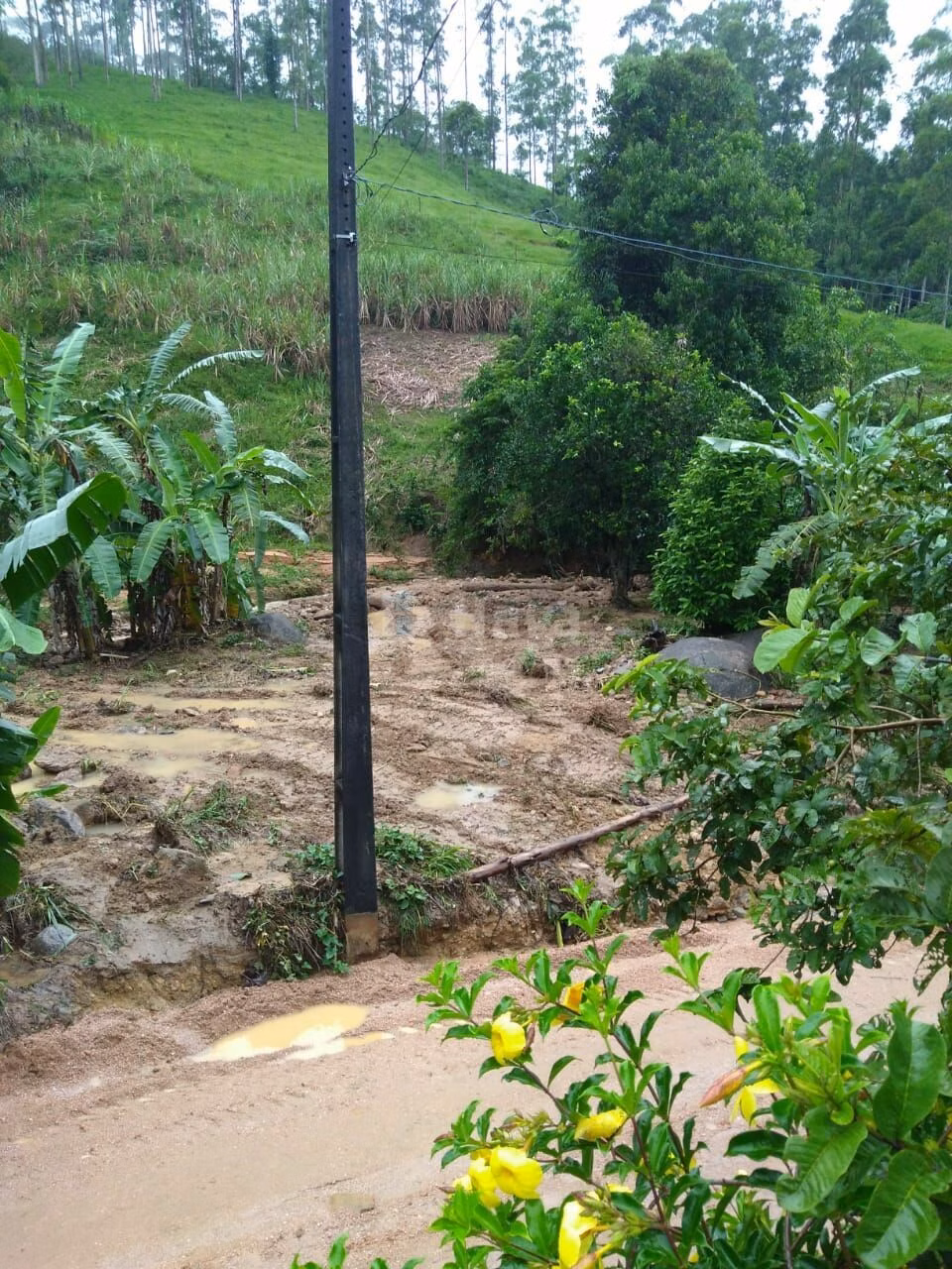 Farm of 6 acres in São João Batista, SC, Brazil