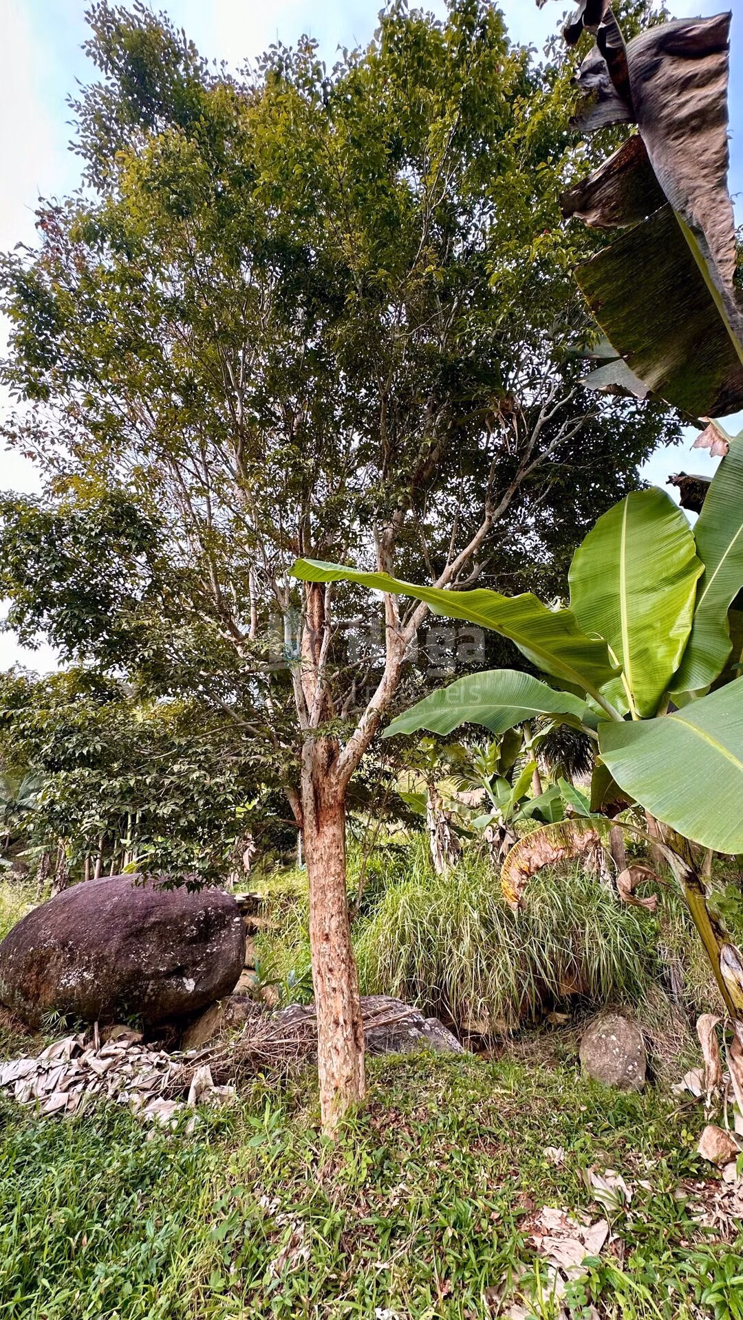Fazenda de 2 ha em São João Batista, SC