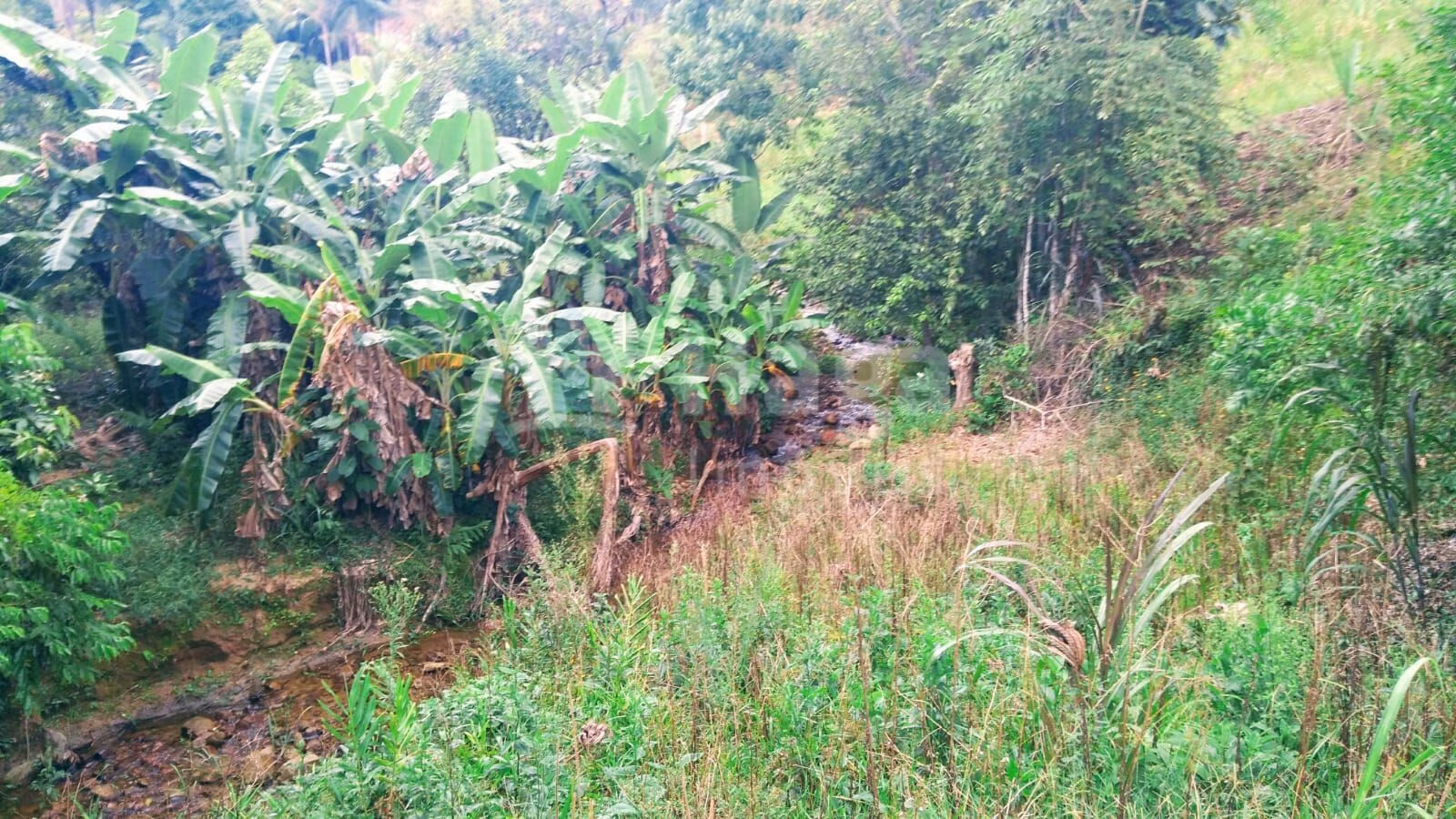 Farm of 6 acres in São João Batista, SC, Brazil