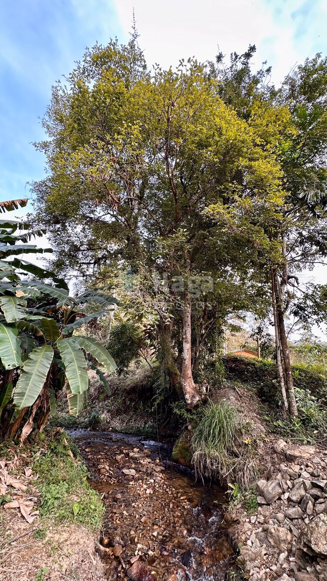 Farm of 6 acres in São João Batista, SC, Brazil