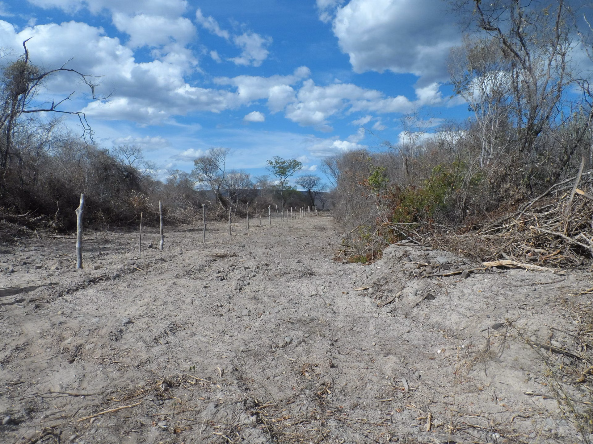 Fazenda de 2.650 ha em Paratinga, BA