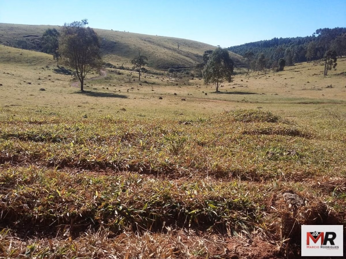 Farm of 1.898 acres in Campanha, MG, Brazil