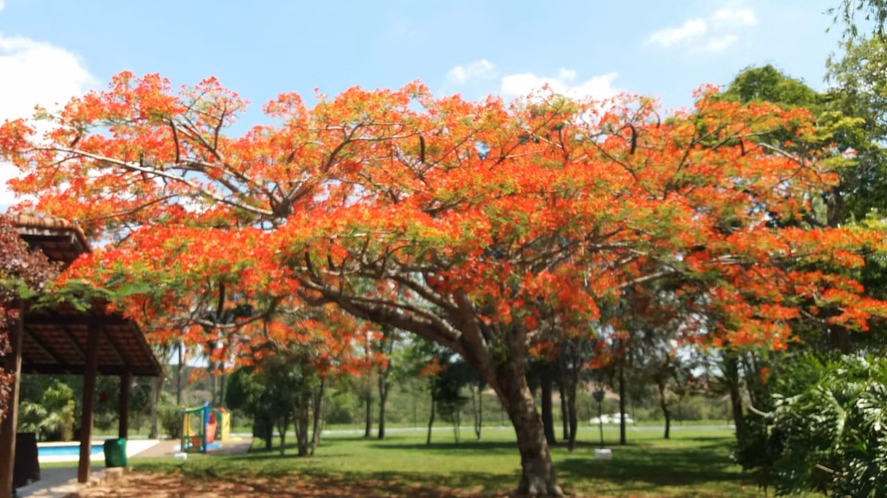 Small farm of 57 acres in Itapetininga, SP, Brazil