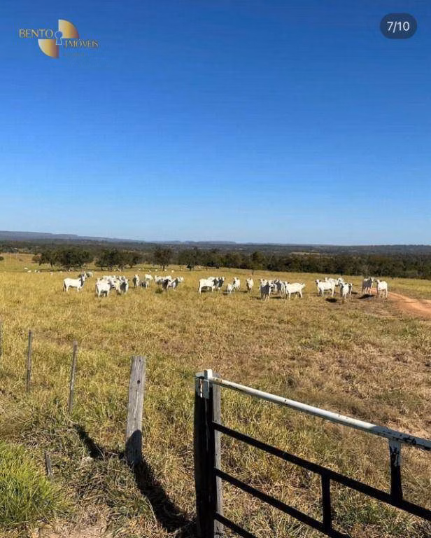 Fazenda de 370 ha em Guiratinga, MT