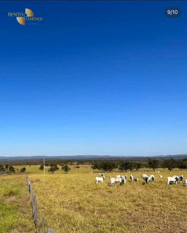 Fazenda de 370 ha em Guiratinga, MT