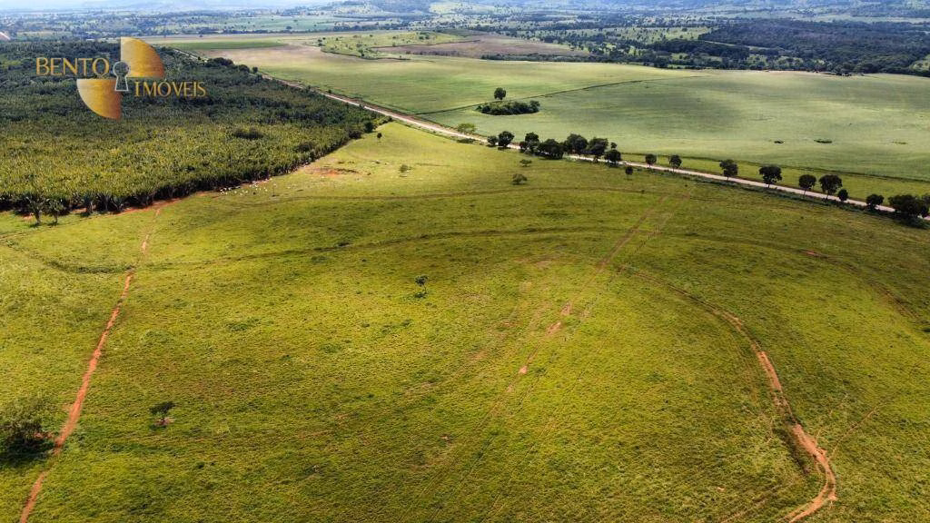 Fazenda de 370 ha em Guiratinga, MT