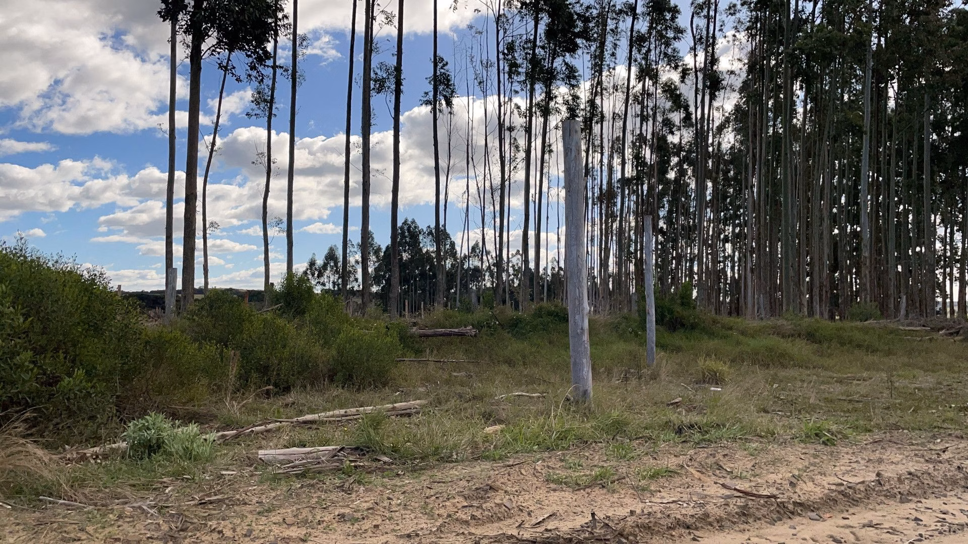 Terreno de 5.000 m² em Santo Antônio da Patrulha, RS