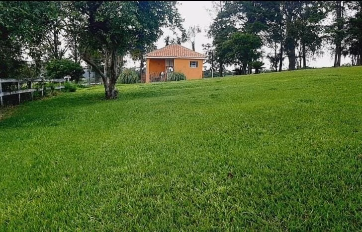 Fazenda de 167 ha em Sarapuí, SP