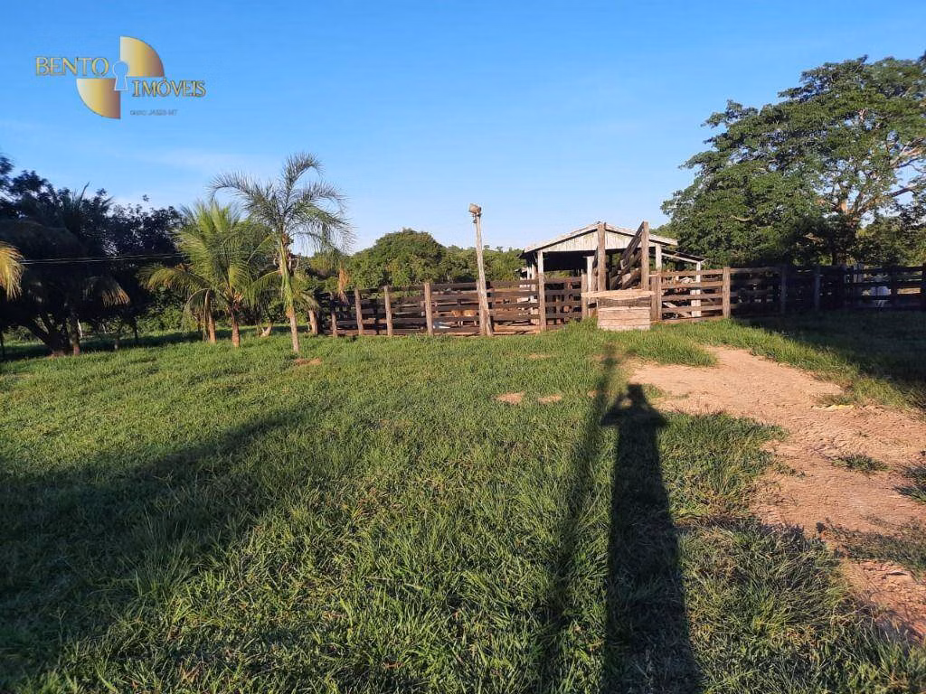 Farm of 848 acres in Poconé, MT, Brazil