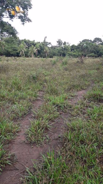 Farm of 848 acres in Poconé, MT, Brazil