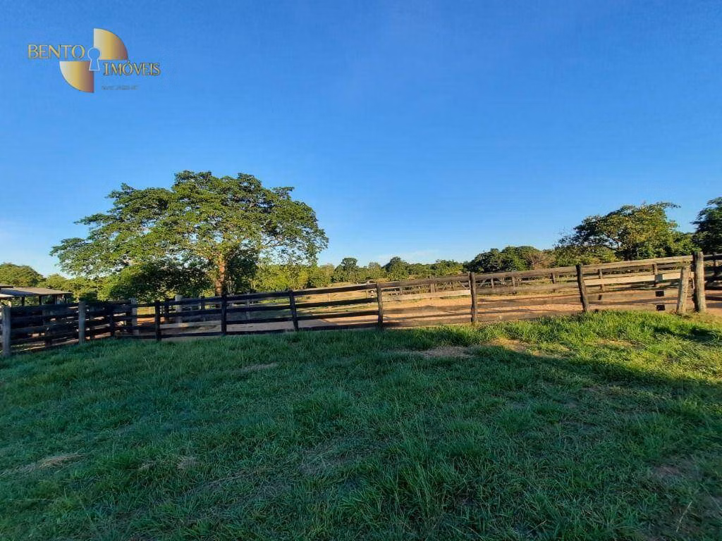 Farm of 848 acres in Poconé, MT, Brazil