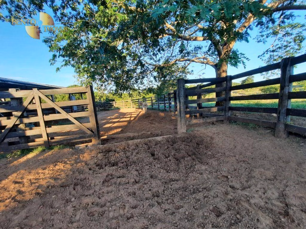 Farm of 848 acres in Poconé, MT, Brazil