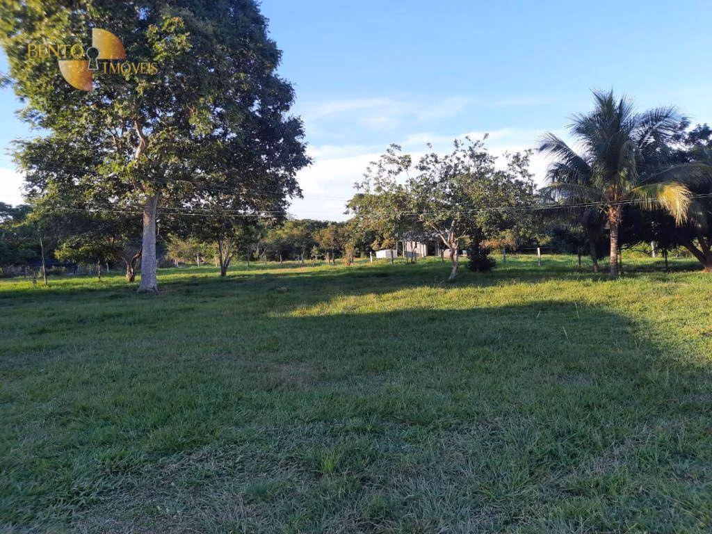 Farm of 848 acres in Poconé, MT, Brazil