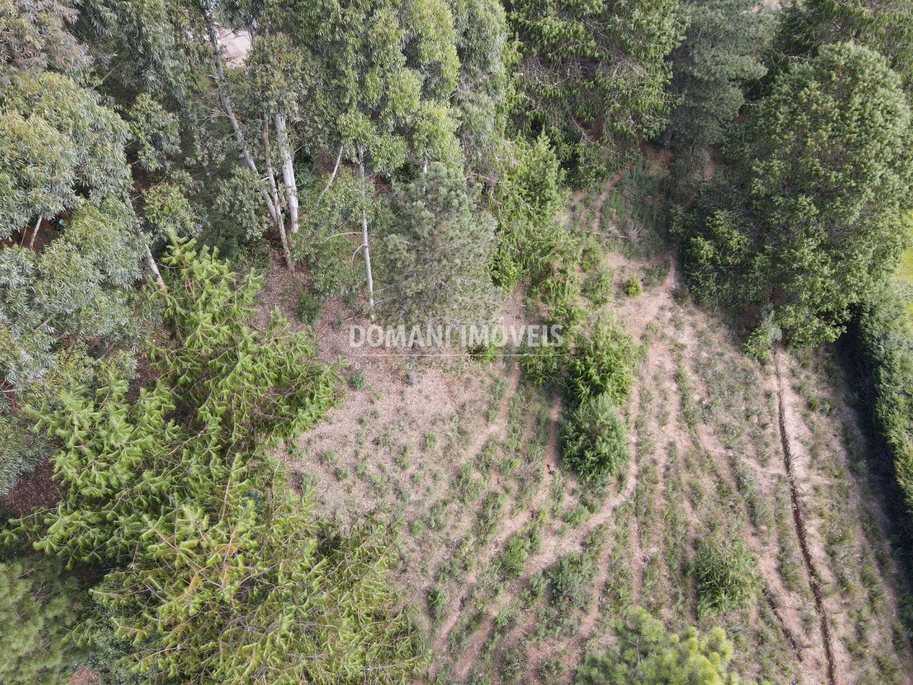 Plot of 1,500 m² in Campos do Jordão, SP, Brazil
