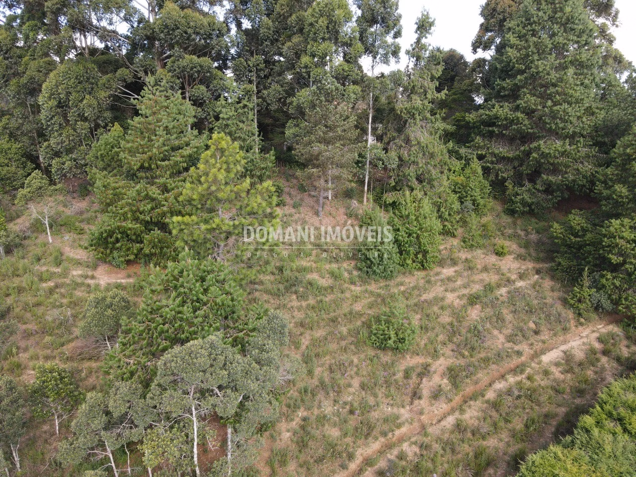 Plot of 1,500 m² in Campos do Jordão, SP, Brazil