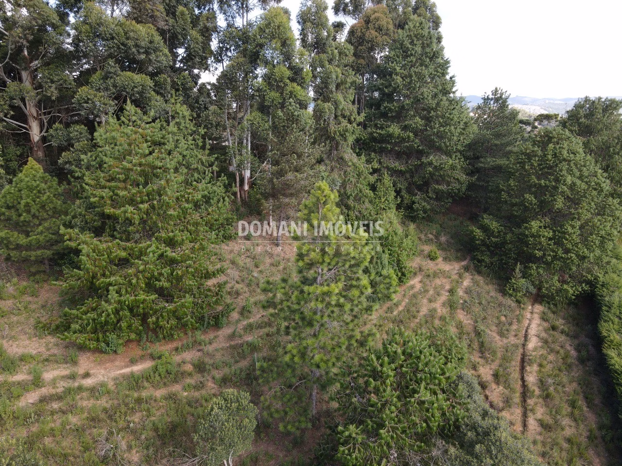 Plot of 1,500 m² in Campos do Jordão, SP, Brazil