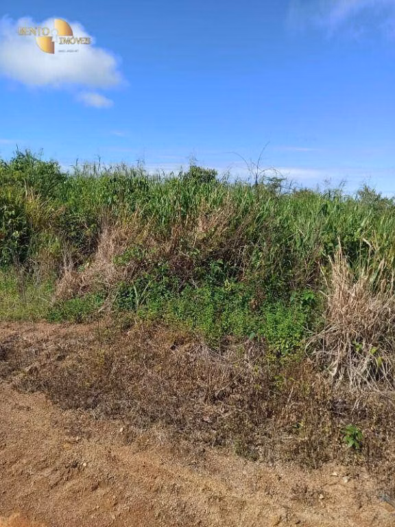 Fazenda de 3.650 ha em Guarantã do Norte, MT