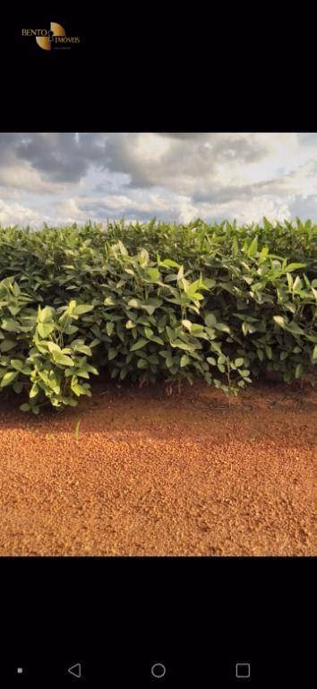 Fazenda de 3.700 ha em Água Boa, MT
