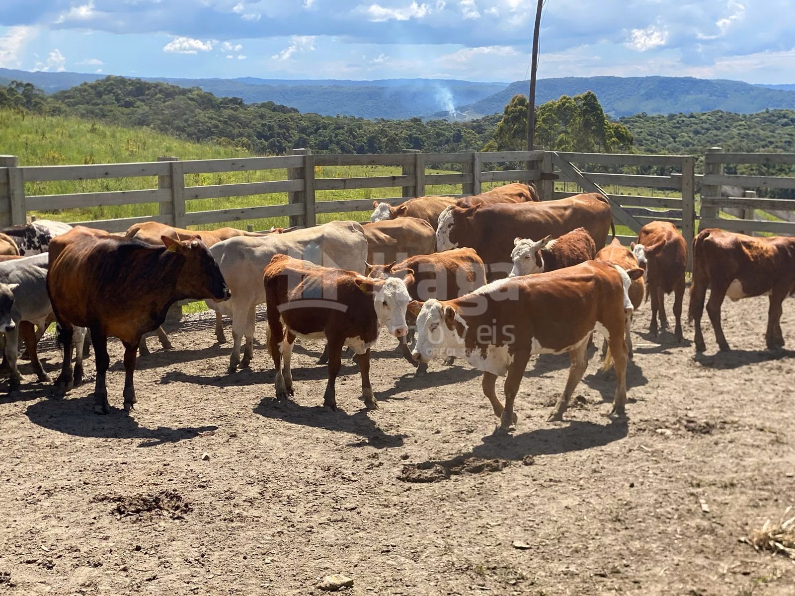 Farm of 1,942 acres in Timbó, SC, Brazil