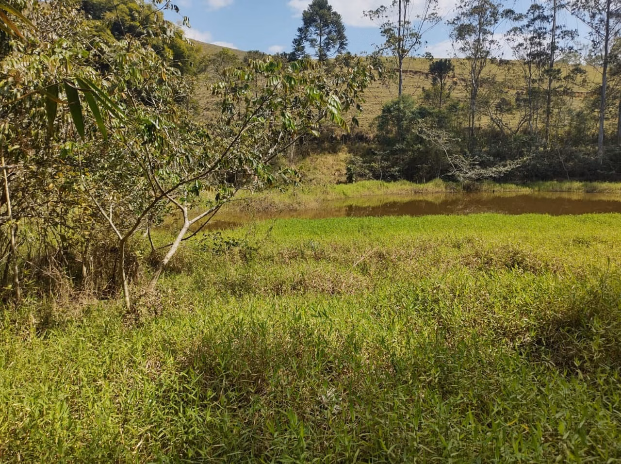 Small farm of 96 acres in São José dos Campos, SP, Brazil