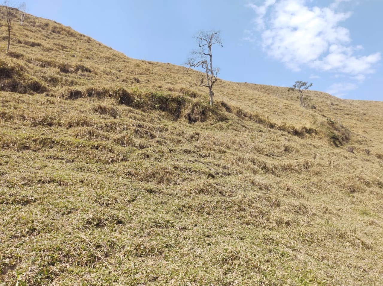 Small farm of 96 acres in São José dos Campos, SP, Brazil