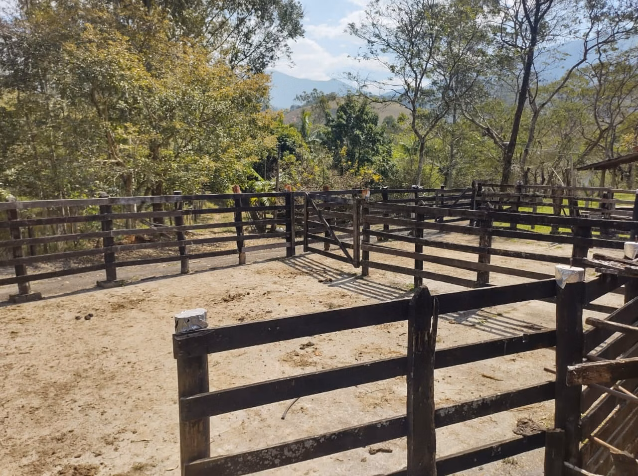 Small farm of 96 acres in São José dos Campos, SP, Brazil