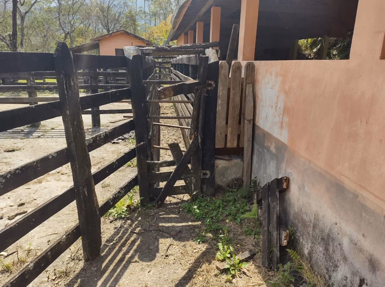 Small farm of 96 acres in São José dos Campos, SP, Brazil