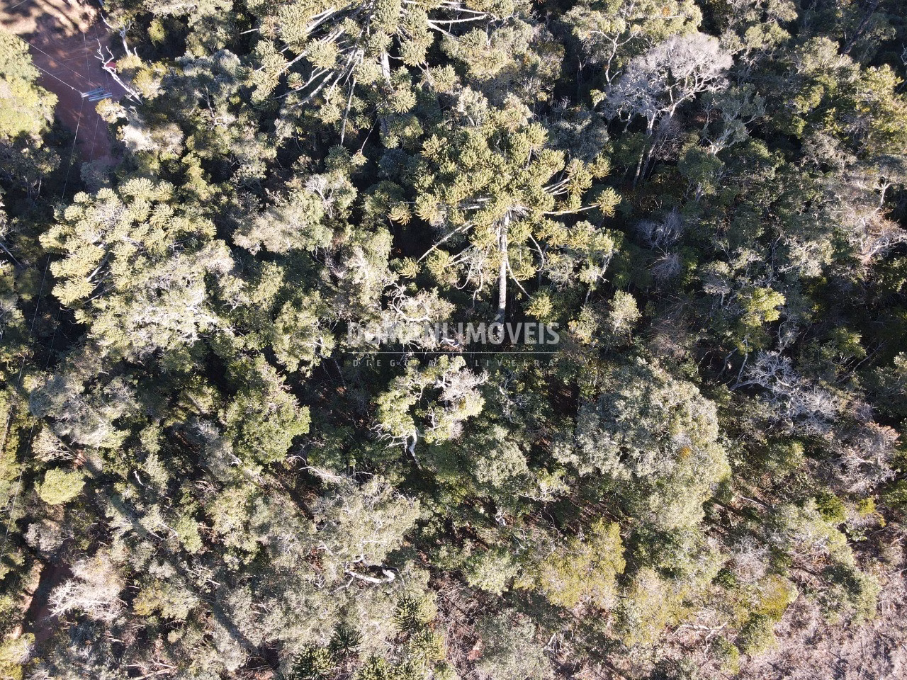 Plot of 1,100 m² in Campos do Jordão, SP, Brazil