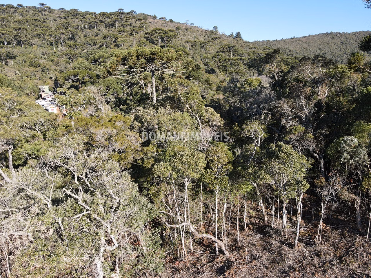Plot of 1,100 m² in Campos do Jordão, SP, Brazil