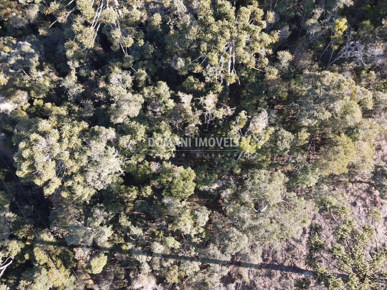 Plot of 1,100 m² in Campos do Jordão, SP, Brazil